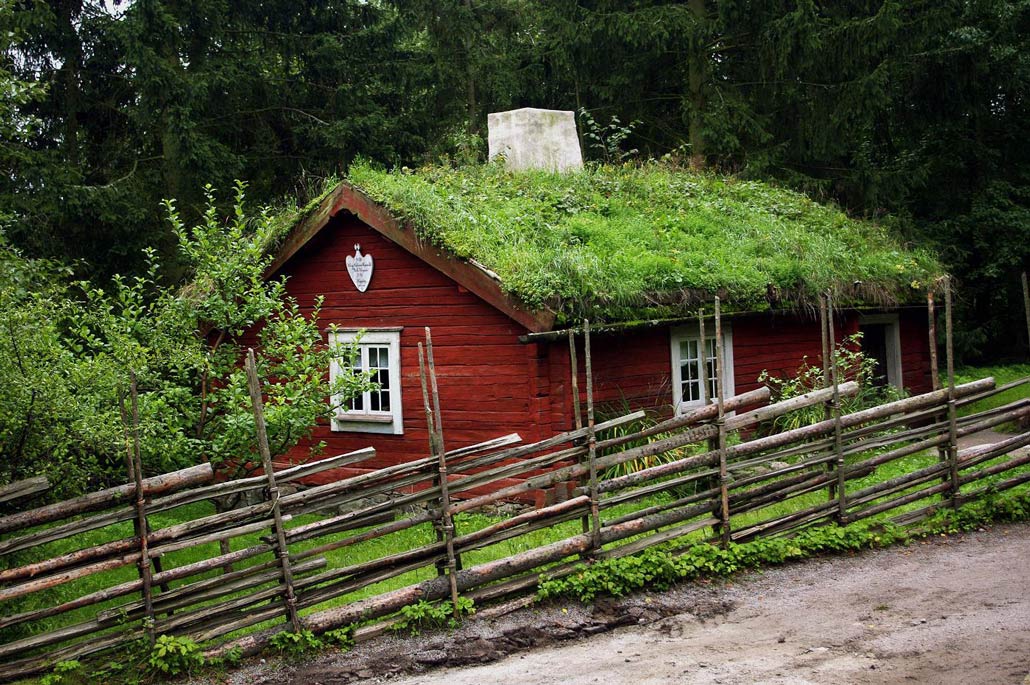 grönt och fint grästak