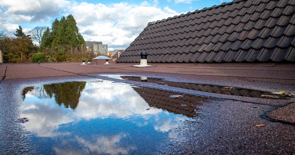 problem och utmaningar med platta tak